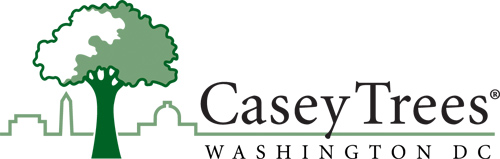 Casey Trees Logo