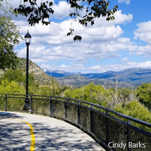Animas River Trail | Cindy Barks