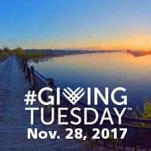 Giving Tuesday | Nov. 28, 2017