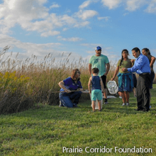 Learning About Grasslands | Prairie Corridor Foundation